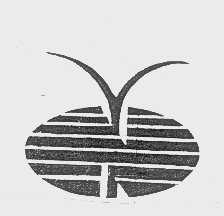 图形