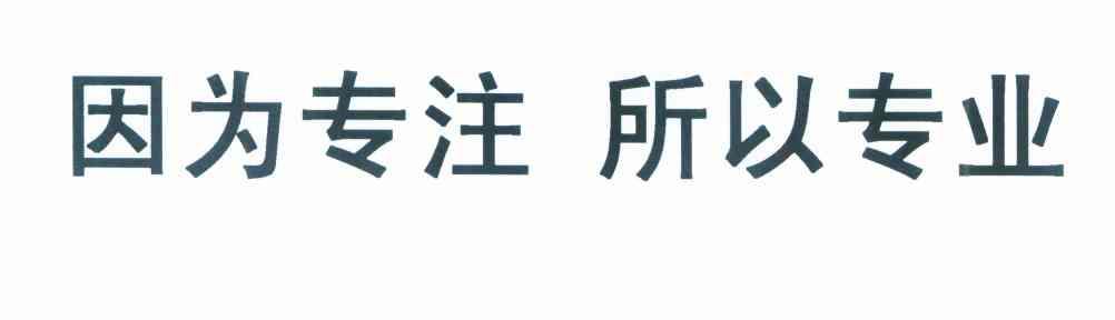 因为专注所以专业
