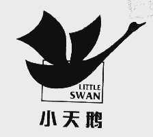 小天鹅 LITTLE SWAN