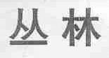 丛林