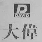 大伟    DAVID