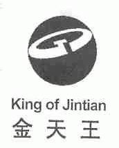 金天王;KING OF JINTIAN