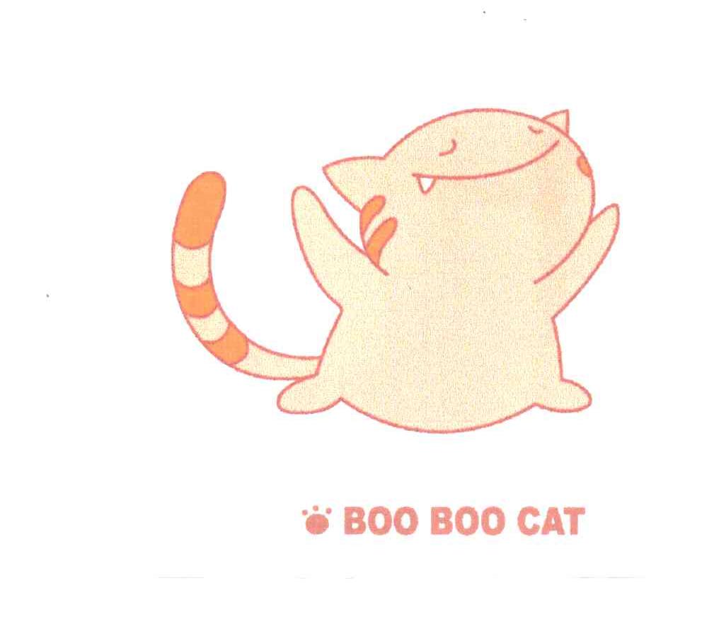 BOO BOO CAT