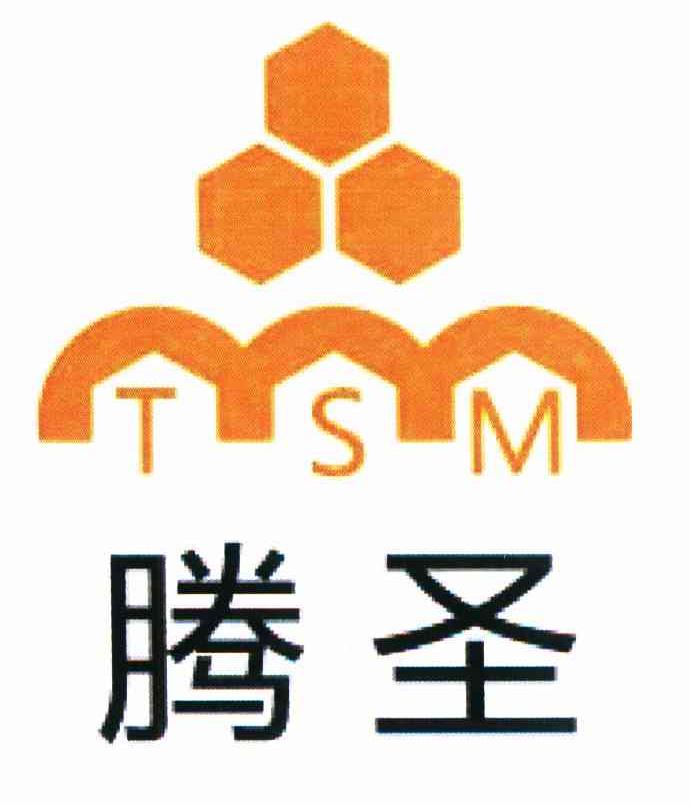 腾圣 TSM