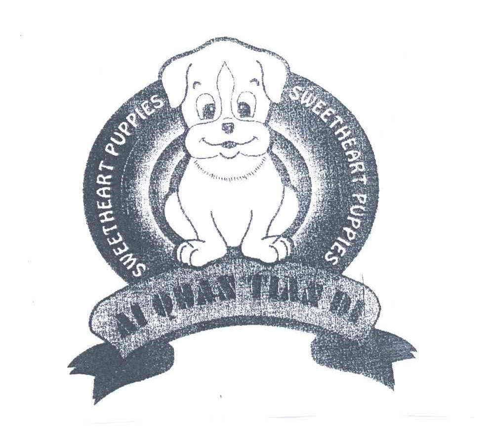AI QUAN TIAN DI；SWEETHEART PUPPIES