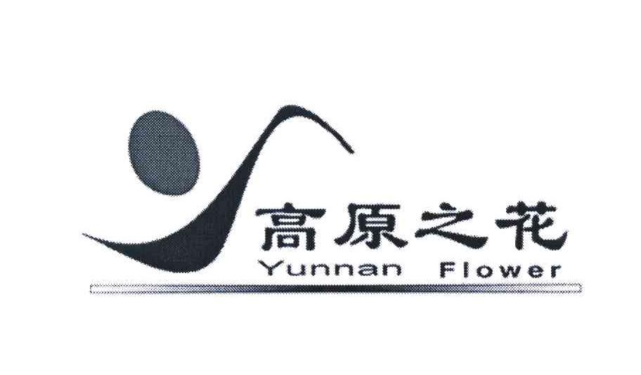 高原之花 YUNNAN FLOWER