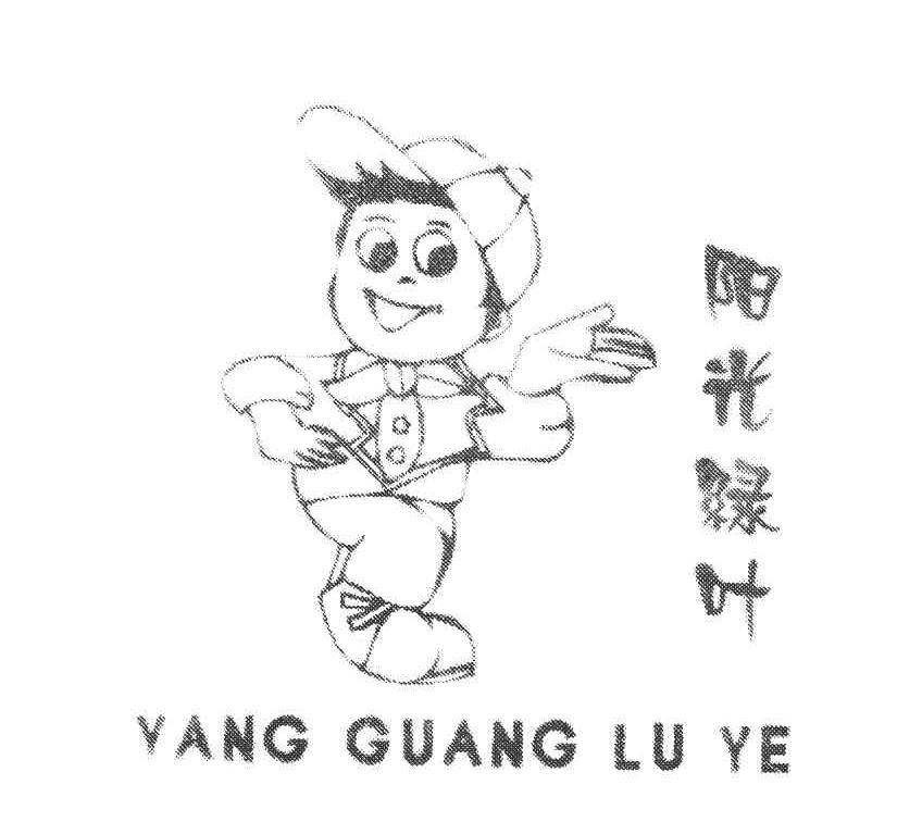 阳光绿叶