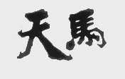天马
