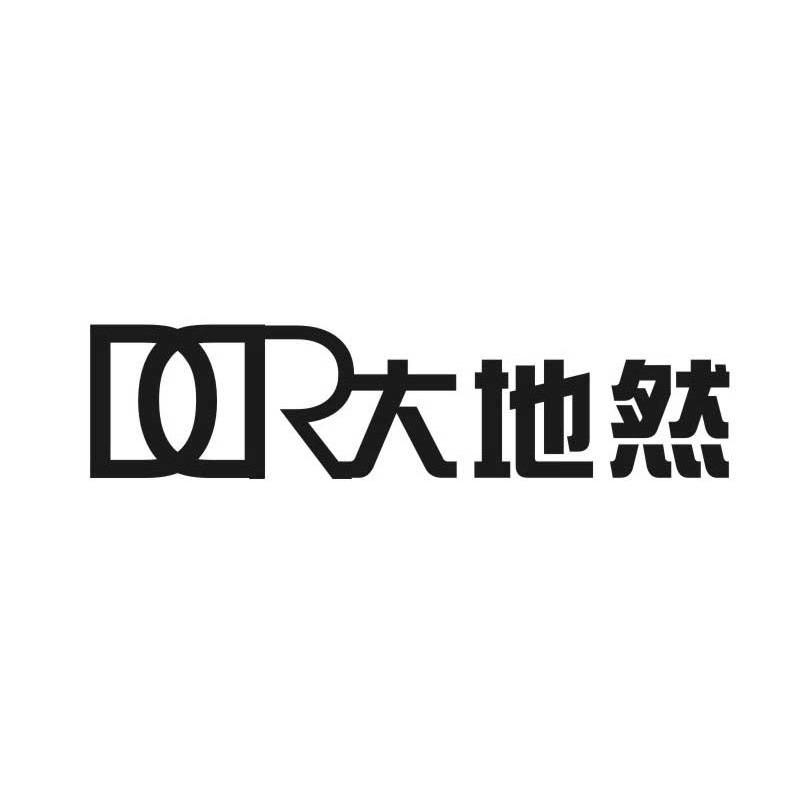 大地然 DDR