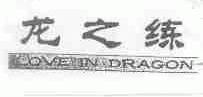 龙之练;LOVE IN DRAGON