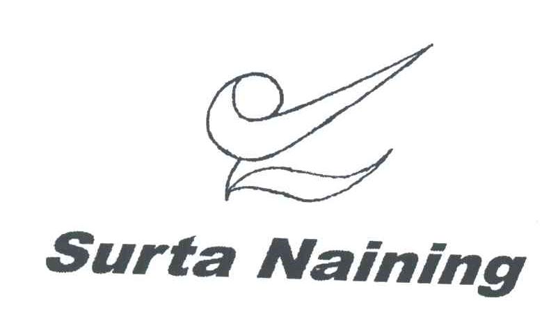 SURTA NAINING