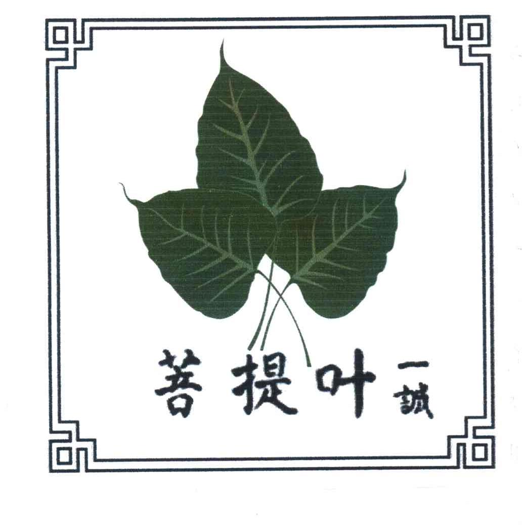 菩提叶一诚