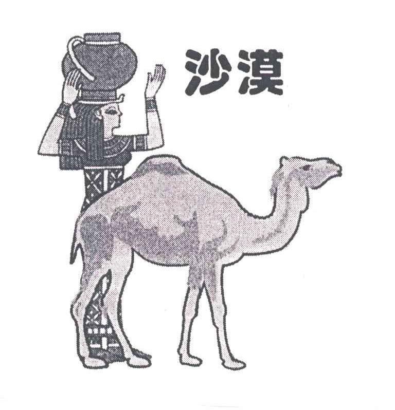 沙漠
