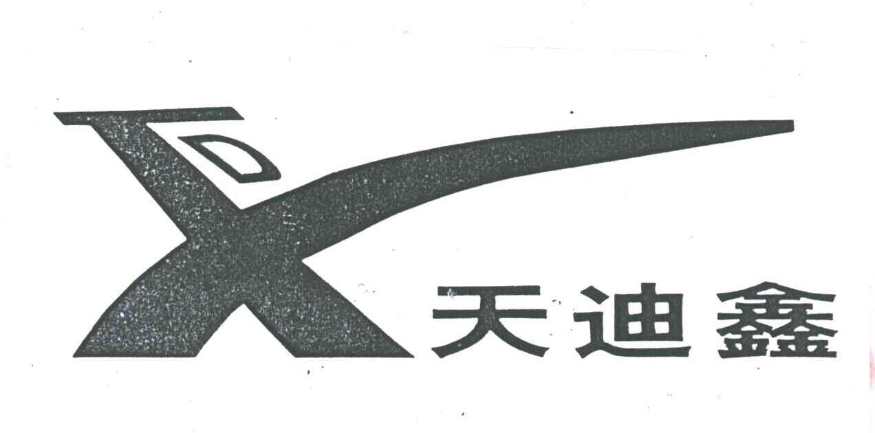 天迪鑫
