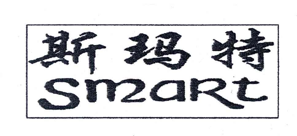 斯玛特;SMART