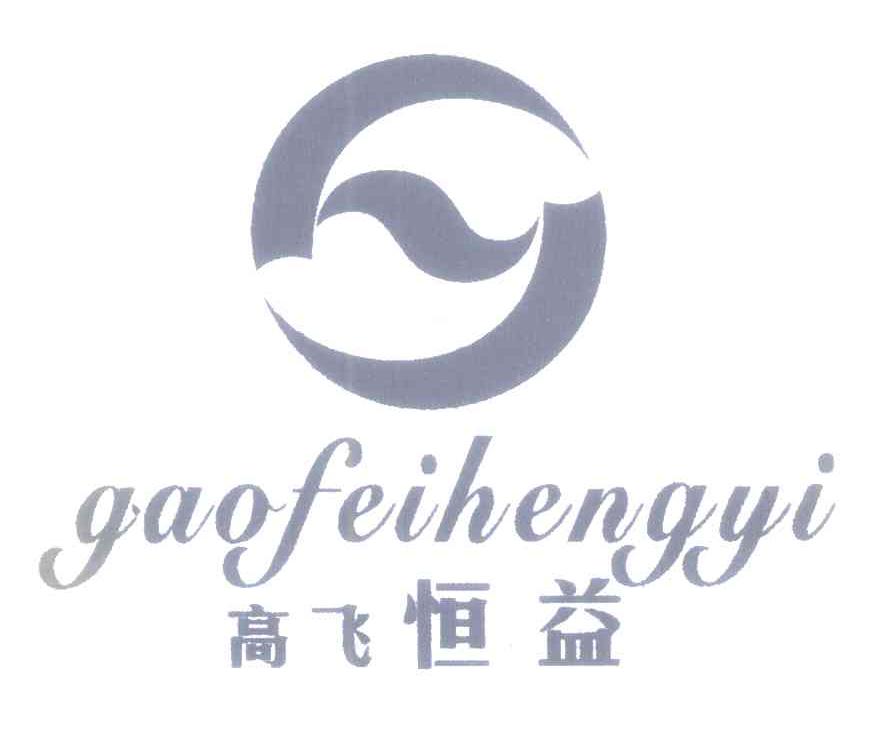 高飞恒益