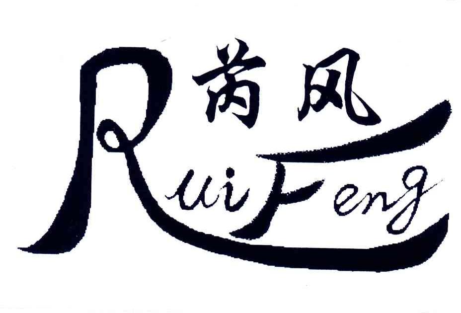 芮风;RUI FENG