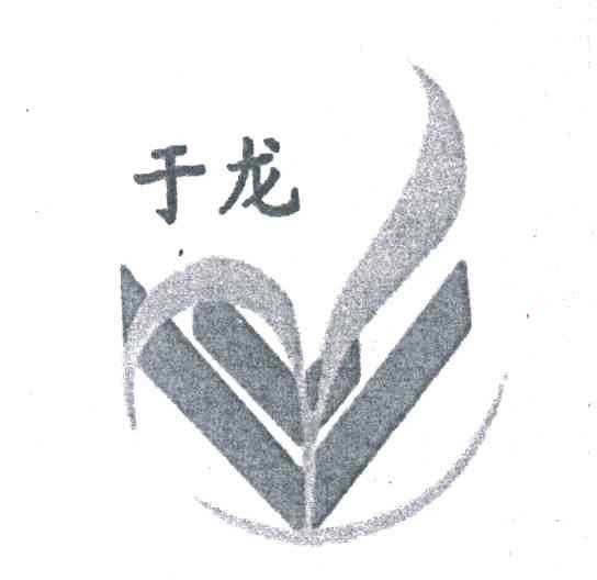 于龙