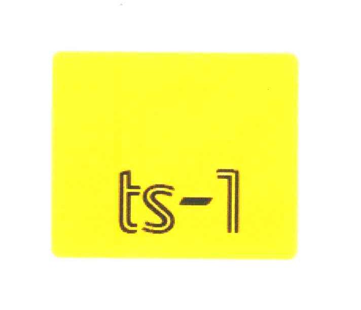 TS-1