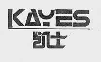 凯士  KAYES
