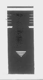 图形