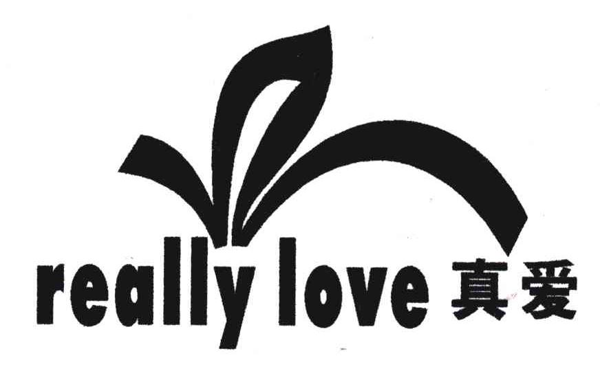 真爱REALLY LOVE