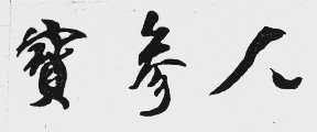 宝参人
