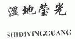 湿地莹光