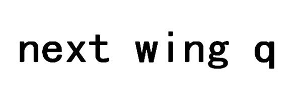 NEXT WING Q
