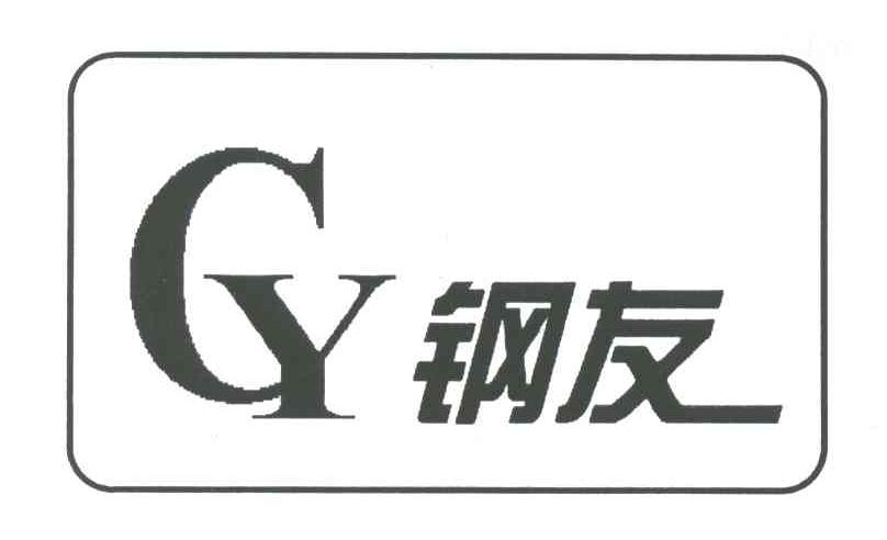 钢友;CY