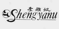 圣雅奴