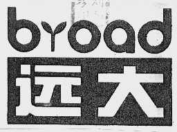 远大    BROAD