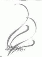 圣罗兰;SAINTLAURENT