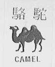 骆驼    CAMEL