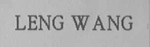 LENG WANG