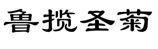 鲁揽圣菊