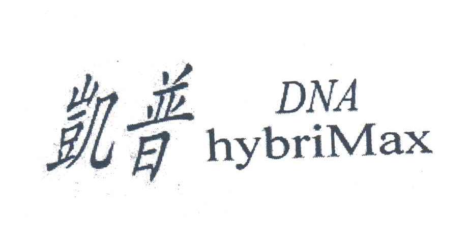 凯普;DNA HYBRIMAX