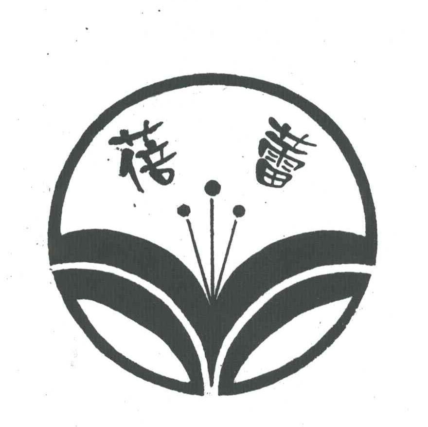 蓓蕾