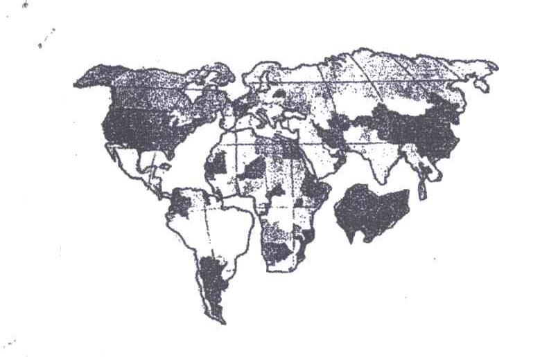 图形
