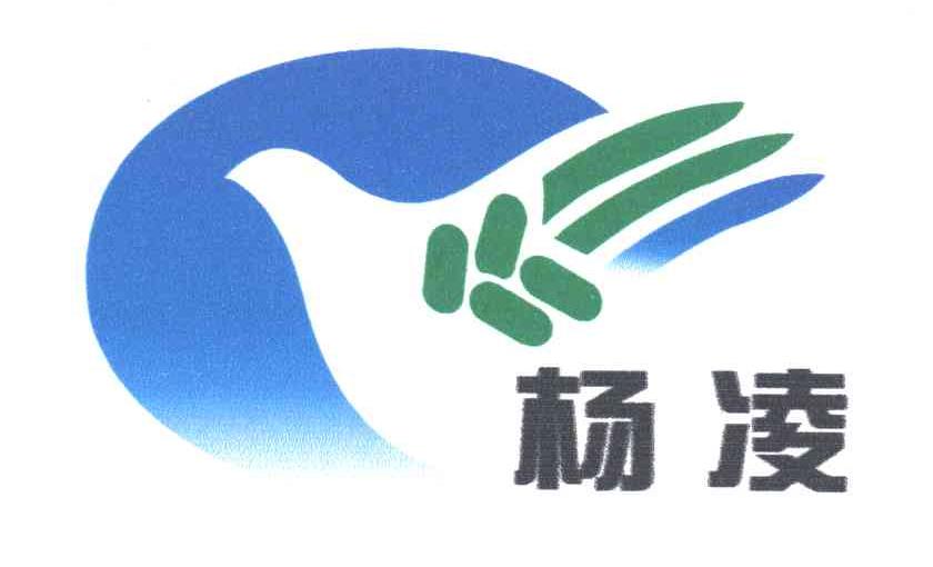 杨凌