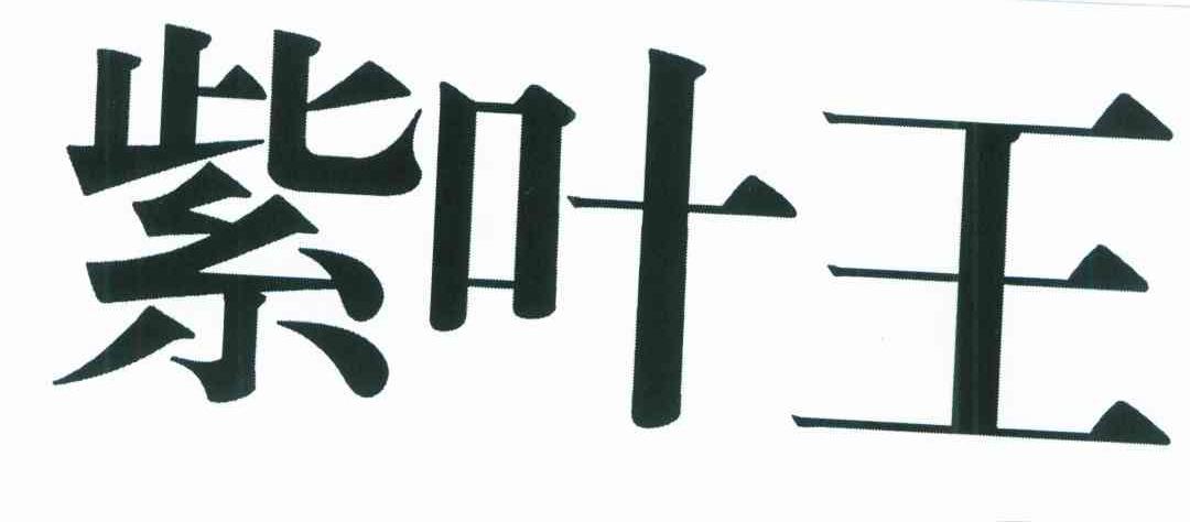 紫叶王