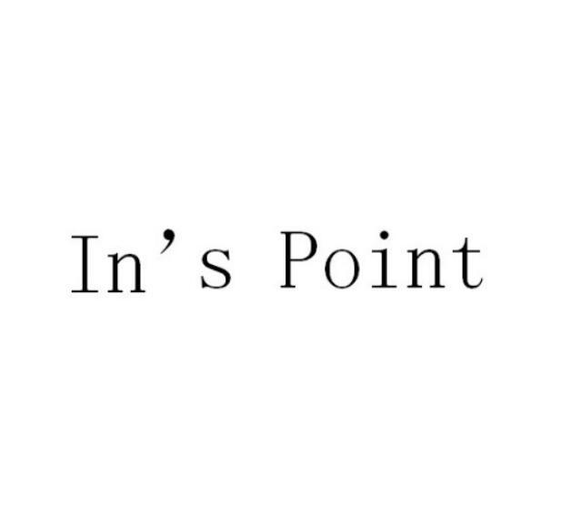 IN'S POINT