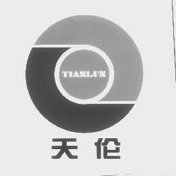 天伦