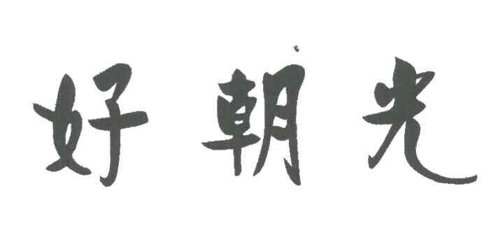好朝光