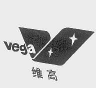 维高   VEGA
