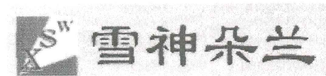 雪神朵兰