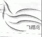 飞翔鸟