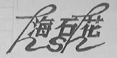 海石花