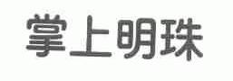 掌上明珠