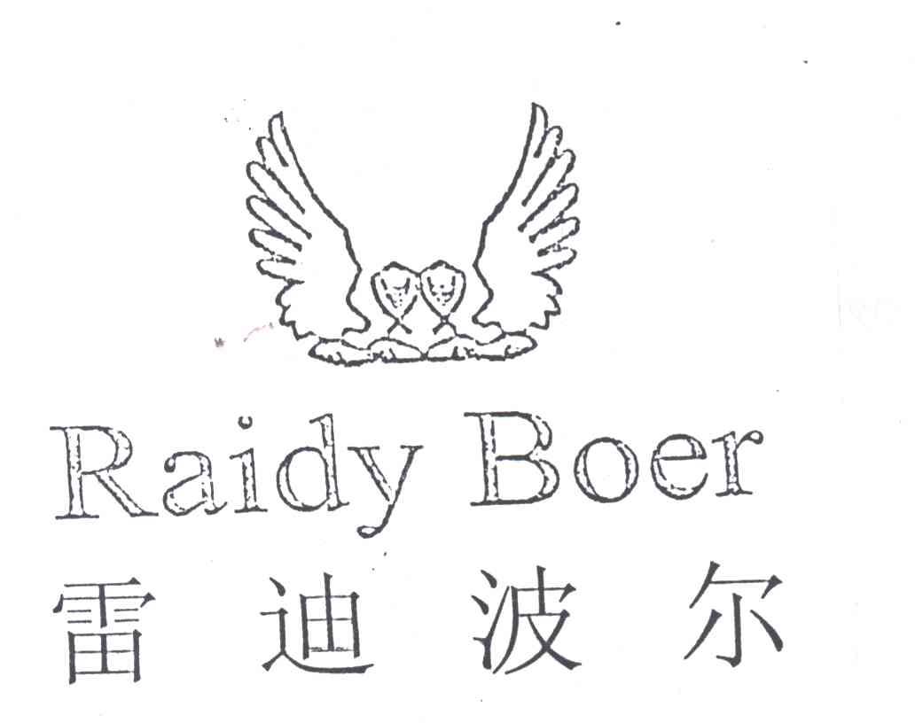 雷迪波尔;RAIDY BOER